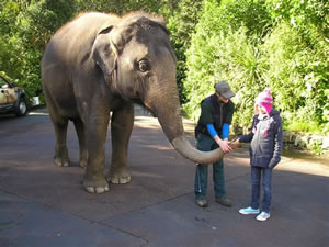 Ruby Seeto - Child Cancer Foundation (CCF) trip to the zoo